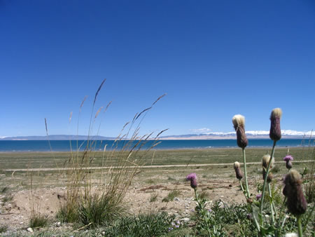 ����֮��